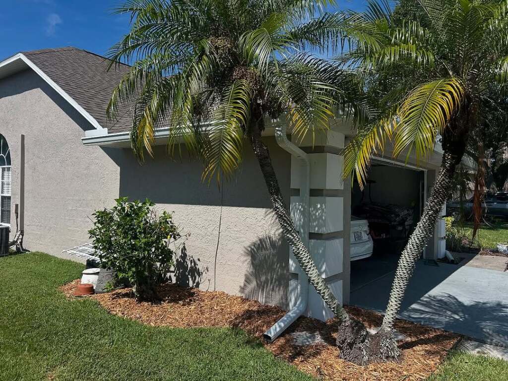 Residential house exterior with palm trees and garage view.