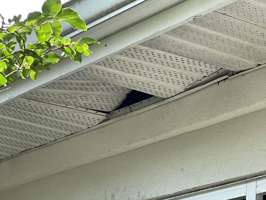 Damaged soffit on house exterior with exposed roof cavities and leafy branch.