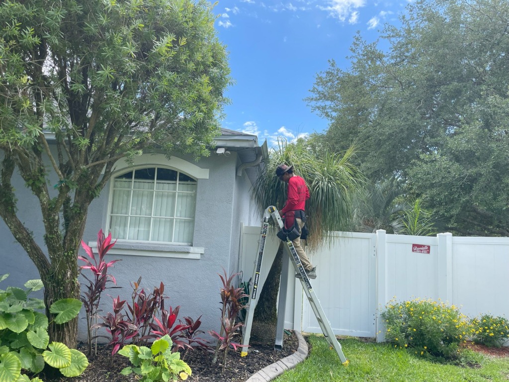Worker on ladder trimming trees in residential backyard