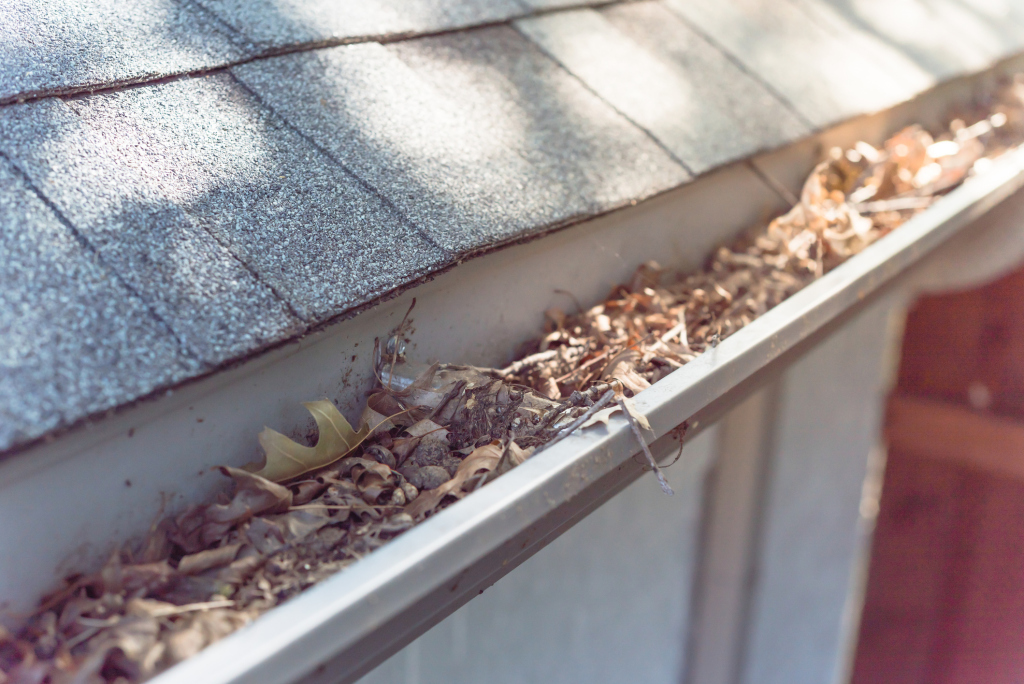 Clogged gutter with dry leaves on a rooftop.