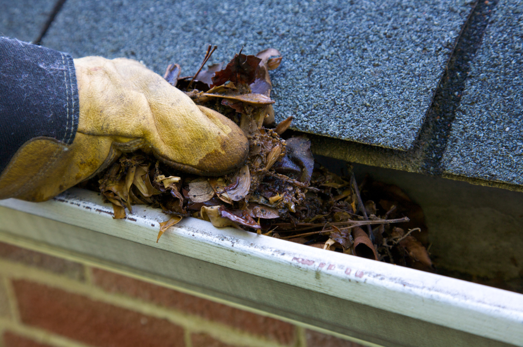 Gloved hand cleaning leaves from a house gutter