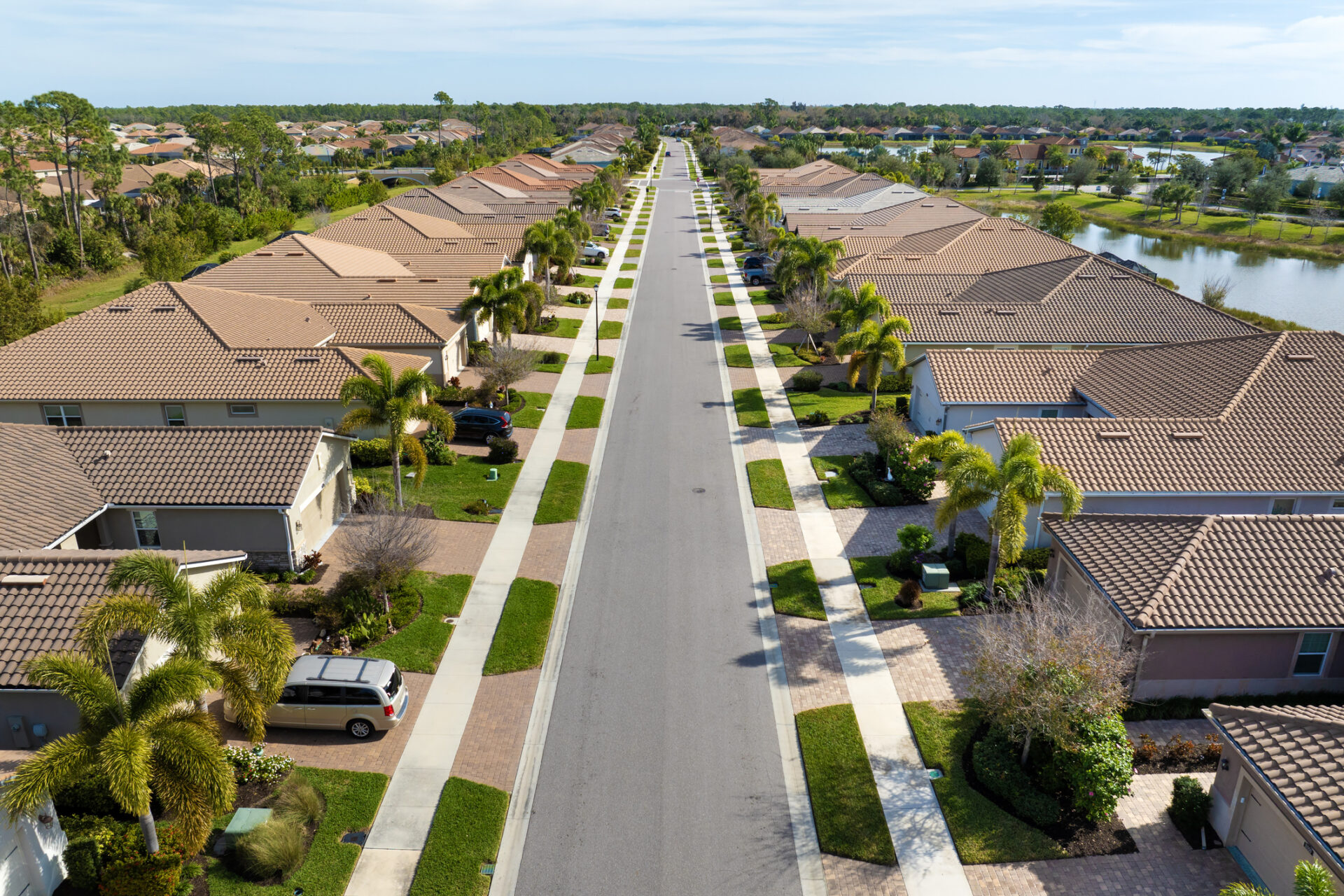 Aerial view of suburban neighborhood street lined with palm trees.