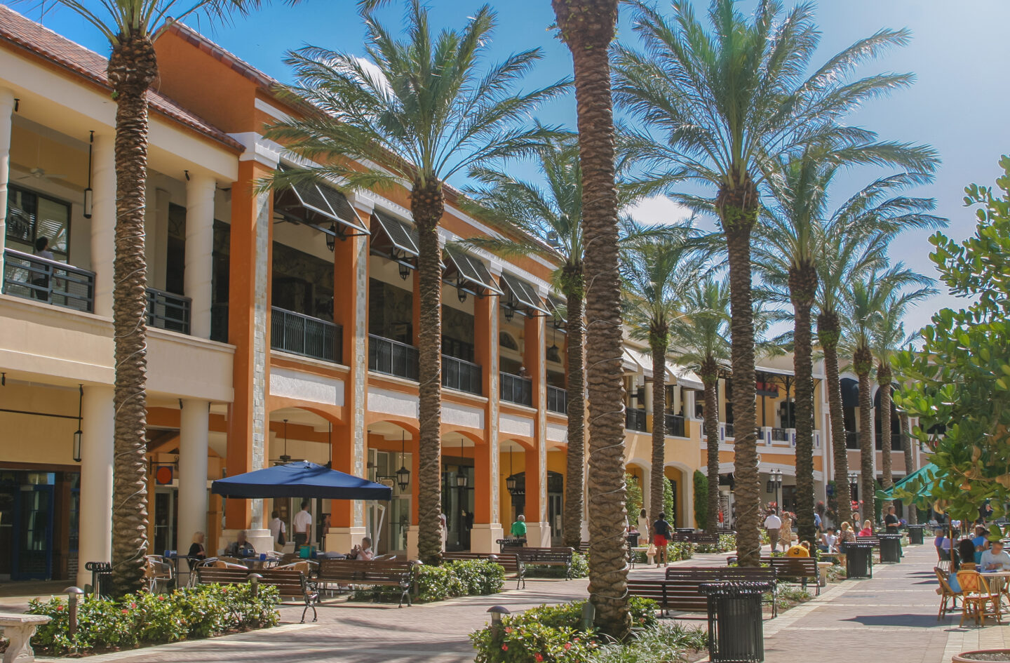 Outdoor shopping mall with palm trees and vibrant architecture