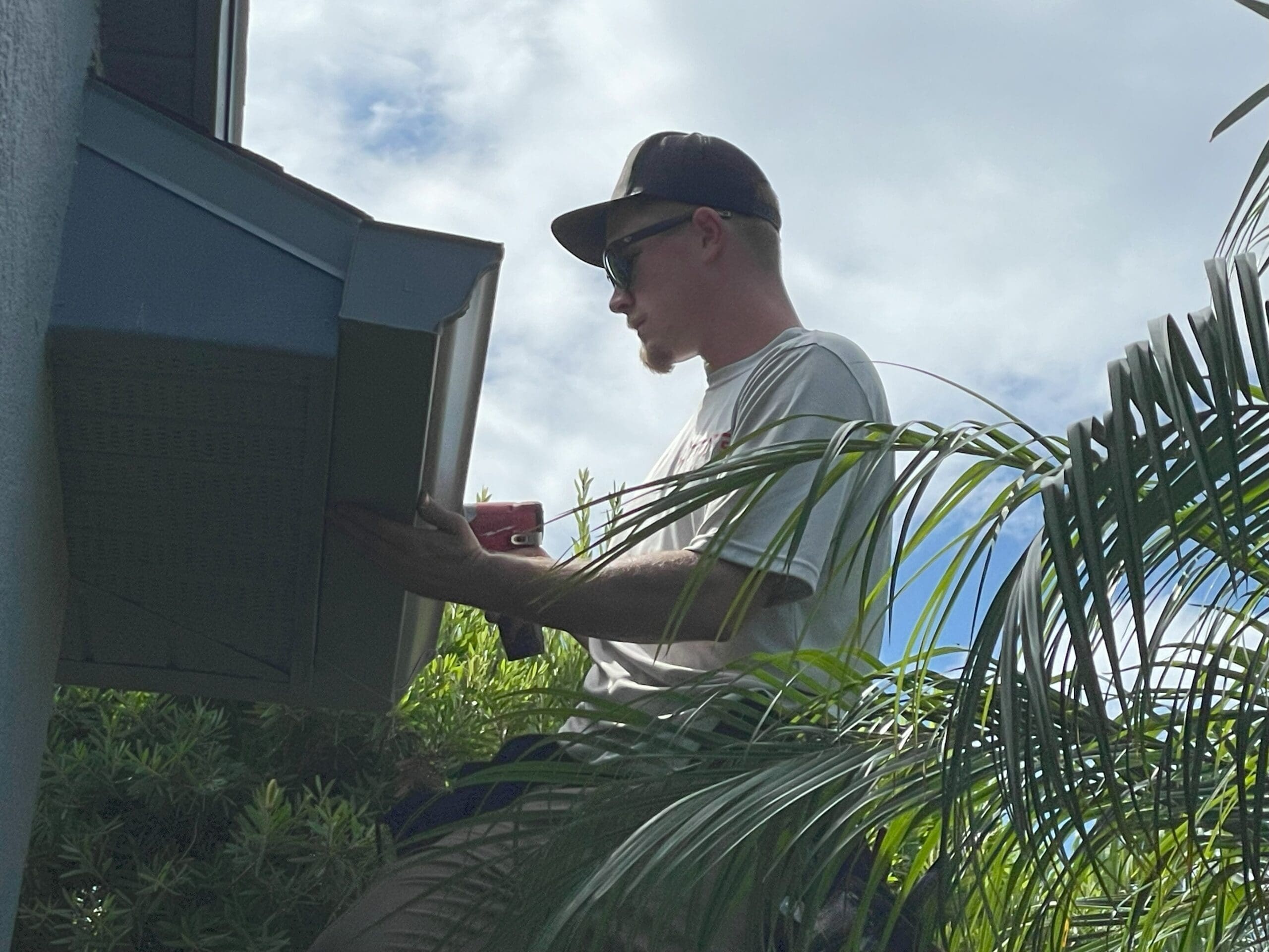 Man working on house gutter under sunny sky, partial view blocked by palm fronds.